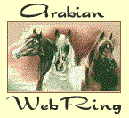 Arabian Horse WebRing