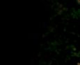 concomp_01.gif (3440 bytes)