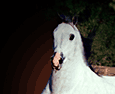concomp_04.gif (4779 bytes)