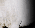 concomp_09.gif (5268 bytes)